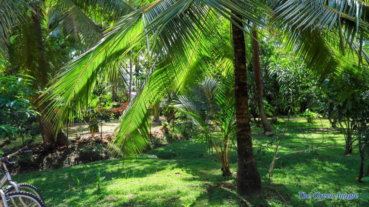 The Green Jungle Dambulla Exterior photo